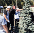 В Пензе продолжаются работы  по массовому озеленению - Пензенская городская Дума