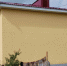 Фото: https://uprgkh.pnzreg.ru/ - Penza-Post.Ru