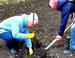 В Сердобске благоустроили сквер на улице Быкова