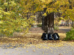 Глава Пензы принял участие в масштабном субботнике по озеленению города