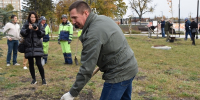 Участники субботника высадили деревья и кустарники в центре Пензы - ИА PenzaNews