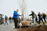 Шулькин с лопатой и новая ель Соболева. Фоторепортаж с общегородского субботника в Пензе