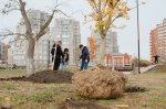 Шулькин с лопатой и новая ель Соболева. Фоторепортаж с общегородского субботника в Пензе