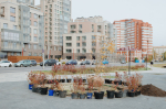 Шулькин с лопатой и новая ель Соболева. Фоторепортаж с общегородского субботника в Пензе