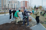 Шулькин с лопатой и новая ель Соболева. Фоторепортаж с общегородского субботника в Пензе