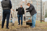 Шулькин с лопатой и новая ель Соболева. Фоторепортаж с общегородского субботника в Пензе