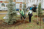 Шулькин с лопатой и новая ель Соболева. Фоторепортаж с общегородского субботника в Пензе