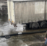 «Т Плюс» выпустила в Сурское водохранилище 85 тысяч мальков толстолобика - Progorod58.Ru