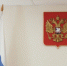В Пензе очередной «инвестор» прогорел на покупке у мошенника экскаваторов - ПензаСМИ