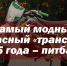 В Пензенской области в 2025 году в авариях с питбайками пострадали 176 детей - Stolica58.Ru