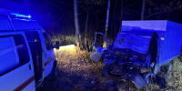 Появились подробности ДТП с двумя грузовиками под Пензой - 1Pnz.Ru