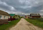 Пензенскую агрофирму наказали за обработку смородины неподходящим химикатом