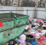 Более 110 штрафов выписано в Пензе за парковку, мешающую вывозу мусора - ПензаСМИ