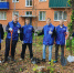 Пенза продолжает озеленяться - Пензенская городская Дума