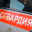 Фото: https://58.rosguard.gov.ru/ - Penza-Post.Ru