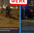 ЦУР Пензенской области предупредил жителей о фейковых видео в Сети - Комсомольская правда