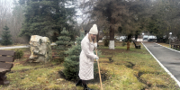 Сотрудники Министерства и лесничеств активно участвуют в месячнике по благоустройству в Пензенской области - Минлесхоз Пензенской области