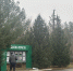 Фото: https://minleshoz.pnzreg.ru/ - Penza-Post.Ru