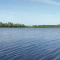 В Пензенское водохранилище выпустили молодь толстолобика - ПензаСМИ