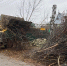 Фото: https://www.penza-gorod.ru/ - Penza-Post.Ru