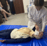 В рамках всемирного Дня качества на базе медицинских организаций области прошли «Дни открытых дверей» - Министерство здравоохранения