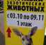 Фото: 13.fsvps.gov.ru - Penza-Post.Ru