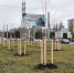 Фото: https://www.penza-gorod.ru/ - Penza-Post.Ru