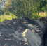 Фото: pnzreg.ru - Penza-Post.Ru