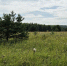 Фото: 13.fsvps.gov.ru - Penza-Post.Ru