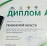 Пензенскую область наградили за качественные дороги и лидерство в нацпроекте - 1Pnz.Ru