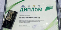 Пензенскую область наградили за качественные дороги и лидерство в нацпроекте - 1Pnz.Ru