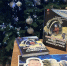 В Пензенском планетарии презентовали книгу летчика-космонавта Александра Самокутяева - Министерство культуры и туризма