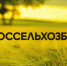 Шесть студентов Пензенского ГАУ стали стипендиатами РСХБ в 2025-2026 учебном году - Минсельхоз