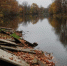Фото: t.me/minleshozpenza - Penza-Post.Ru