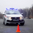 Фото: https://58.rosguard.gov.ru/ - Penza-Post.Ru