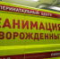 На дорогах Пензы появятся яркие реанимобили для спасения новорожденных детей - Stolica58.Ru