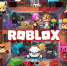 Доступ к платформе Roblox был ограничен Роскомнадзором - Минобрнауки