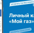 142 000 абонентов из Пензенской области оплачивают газ через сервис ЛКА «Мой ГАЗ» - Комсомольская правда