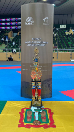 Пензенские спортсмены успешно выступили на чемпионате и первенстве мира по киокушин