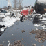 Фото: t.me/Rosprirodnadzor_official - Penza-Post.Ru