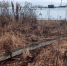 Фото: t.me/sledcom58 - Penza-Post.Ru