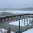 Фото: t.me/minleshozpenza - Penza-Post.Ru