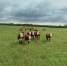 Фото: mcx.pnzreg.ru - Penza-Post.Ru