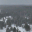 Фото: 13.fsvps.gov.ru - Penza-Post.Ru