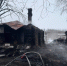 Фото: t.me/sledcom58 - Penza-Post.Ru