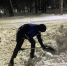 img - ЛДПР