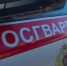 В Пензе ночной дебош в сауне закончился приездом росгвардейцев - Росгвардия