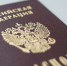В Пензенской области лишили гражданства РФ 12 уроженцев другого государства - Пензенская Правда