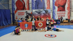 17 января  во дворце единоборств «Воейков» прошли чемпионат Пензенской области и фестиваль по спортивной борьбе грэпплинг