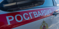 Росгвардейцы пресекли нарушение общественного порядка в одном из магазинов Пензы - Пенза-Обзор